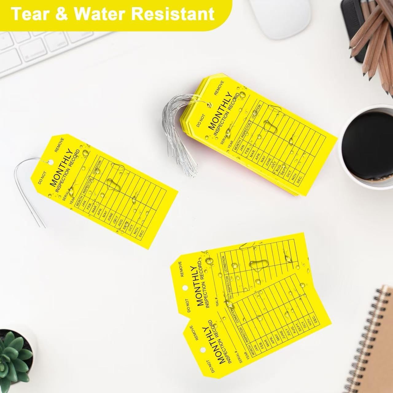 Monthly Inspection Tags (100-Pack), PVC-Plastic Tear & Water Resistant ...